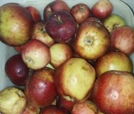 Груши и яблоки поздние.
