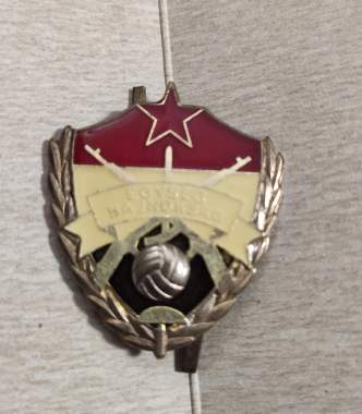 Венгрия ВНР серебряный военный знак Egyseg