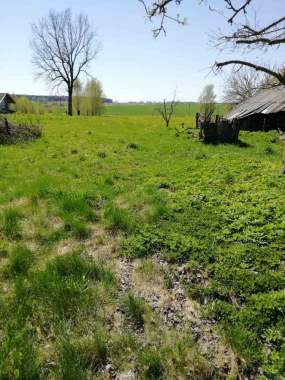 Продам дом на 25 соток в собственности 2