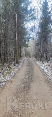 Деревянный дом на опушке леса