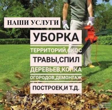 Обрезка деревьев. Обрезка сада. 2