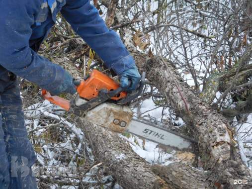 Обрезка деревьев. Обрезка сада. 4