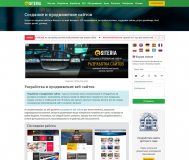 Сайт для бизнеса. Разработка и продвижение.