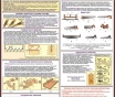 Деревообработка. Учебно-информационный плакат