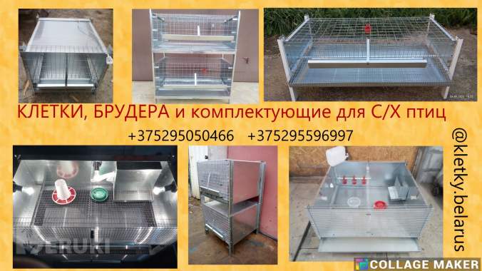 Клетки и брудера для цыплят, перепелов, несушек, бройлеров, кроликов и др.