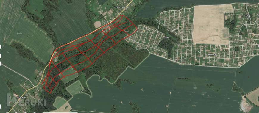 Фермерское хозяйство около минска 1