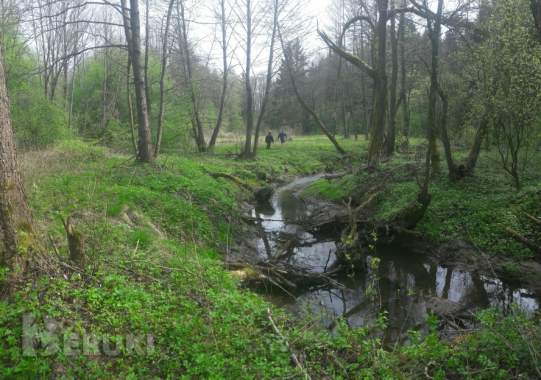 Фермерское хозяйство около минска 2