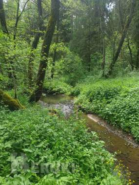 Фермерское хозяйство около минска 4