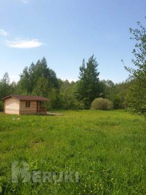 Фермерское хозяйство около минска 6