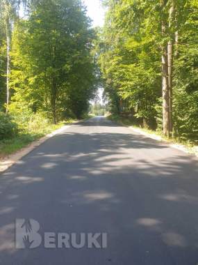 Фермерское хозяйство около минска 7