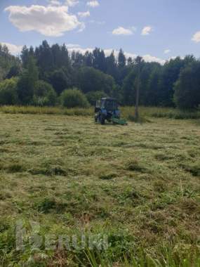 Фермерское хозяйство около минска 8