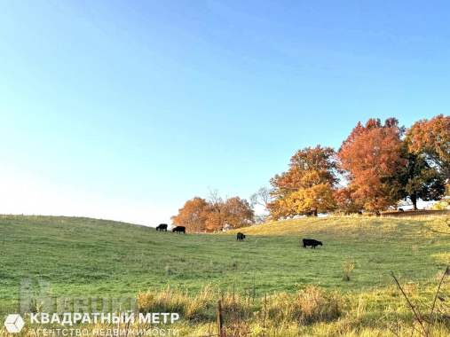 Дача, баня из сруба в ст «струсто» в 6 км от браслава, (в 3 часах езды от минска 13