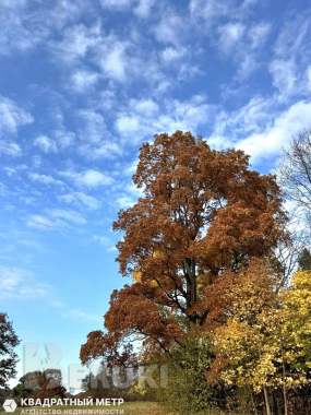 Дача, баня из сруба в ст «струсто» в 6 км от браслава, (в 3 часах езды от минска 14