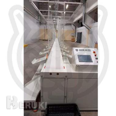 Ленточный адресный конвейер производства mozes inc 2