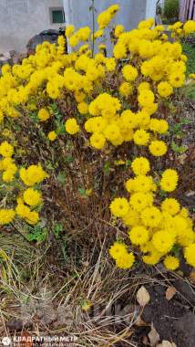 Продается двухэтажная дача в 19 км от мкад 12