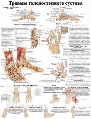 Плакаты для учреждений здравоохранения и медколледжа 8