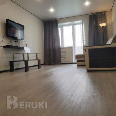 Уютная квартира в самом центре города 0