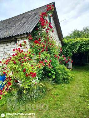 Продается дом в аг. Выверы, молодечненском р-не 4