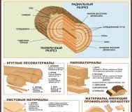 Деревообработка. Плакаты для школы и колледжа
