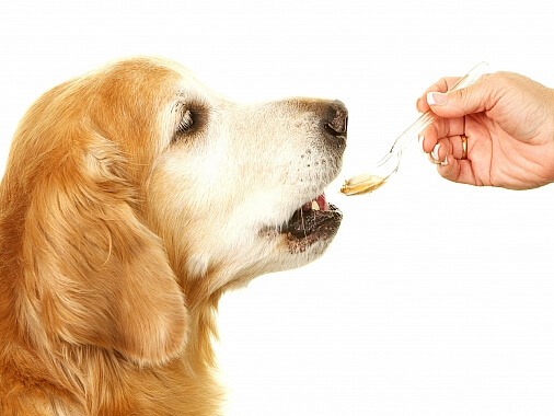 Натуральное лососевое масло 2