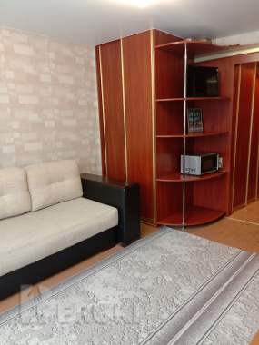 Однокомнатная квартира - студия 1