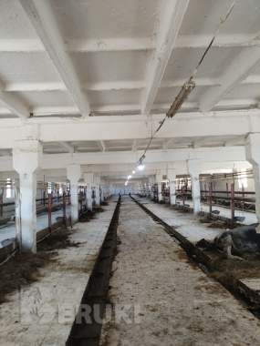 Побелка зданий