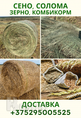 Сено, солома, зерно, комбикорм доставка