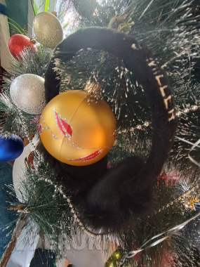 Наушники теплые женские меховые New year Miller ti 1