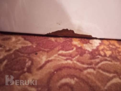 Стиральная машина Beko 5