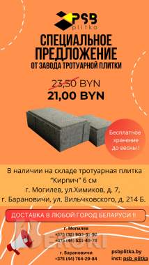 Плитка тротуарная «Кирпич» 20.10.6