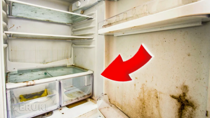 Холодильник атлант большой шкаф хм 6224 2 м документы 4