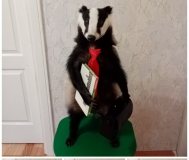 Таксидермическое художественное изделие (чучело)