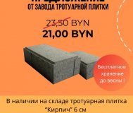 Плитка тротуарная «Кирпич» 20.10.6