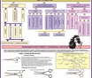 Парикмахерские работы. Учебные плакаты для колледжа