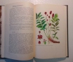 Дикорастущие лекарственные растения ссср. , 1976 год, 288 страниц, 153 рисунка.