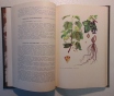 Дикорастущие лекарственные растения ссср. , 1976 год, 288 страниц, 153 рисунка.