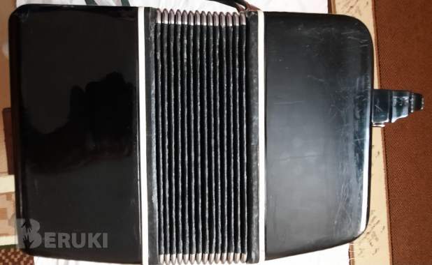 Баян беларусь 2