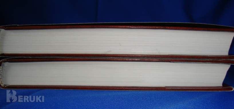 Российская музейная энциклопедия 2-томник 4