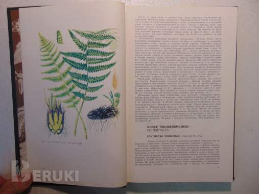Дикорастущие лекарственные растения ссср. , 1976 год, 288 страниц, 153 рисунка. 6