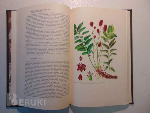 Дикорастущие лекарственные растения ссср. , 1976 год, 288 страниц, 153 рисунка. 8