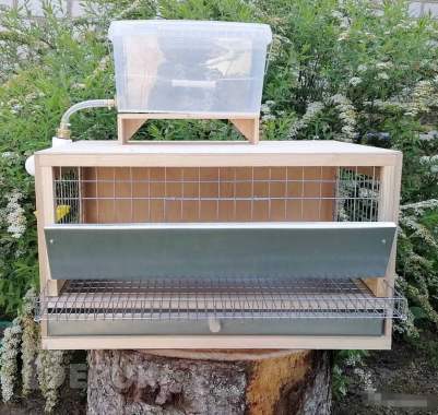 Клетки для перепелов и не только. 0