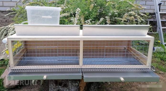 Клетки для перепелов и не только. 5