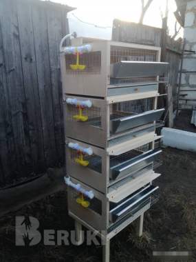 Клетки для перепелов и не только. 6