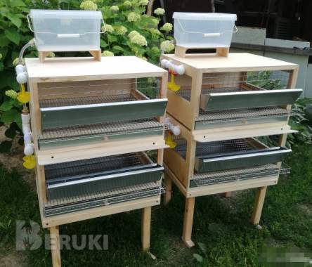 Клетки для перепелов и не только. 7