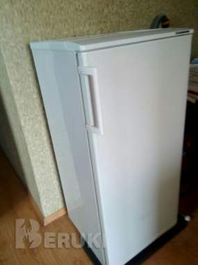 Коттедж раиса в бресте - посуточно недорого до 6 комнат группе до 20 человек. 16