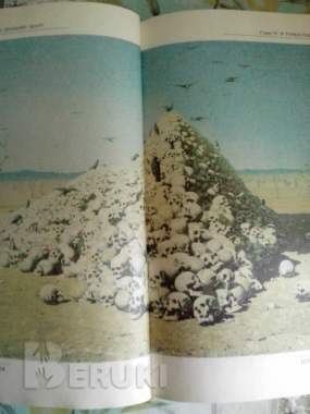 Книга «с мольбертом по земному шару: мир глазами в. В. Верещагина», лев демин 4