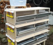 Клетки для перепелов,бройлеров и не только.